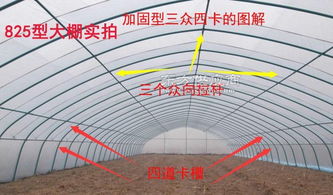 钢管大棚支架 选对生产厂家与材质的重要性